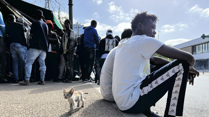 Migrantes sudaneses piden ayuda en la sede de Acnur en Rabat.