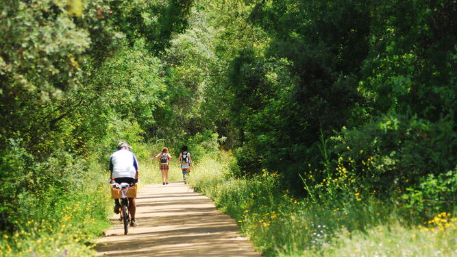 La práctica de deportes en plena naturaleza atrae a miles de visitantes hasta la vía verde de la Sierra Norte de Sevilla.