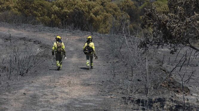 Dos bomberos caminan por uno de los parajes arrasados por el fuego en El Ronquillo.