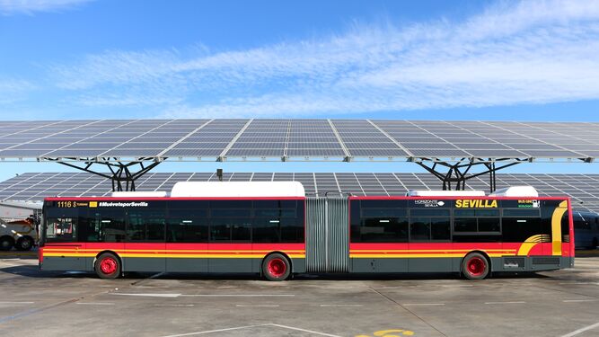Un autobús de Tussam bajo la planta fotovoltáica que la compañía tienen en su sede.