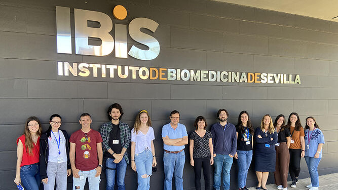 Los investigadores del grupo Síntesis y Función de los Ribosomas del IBiS que han realizado el estudio.