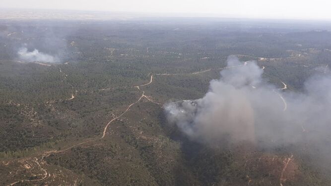 El Infoca lucha contra un incendio forestal en Aznalcóllar