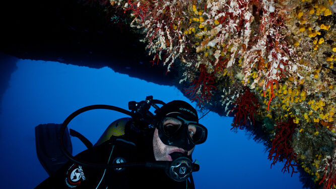 Uno de los investigadores explora el fondo marino del Mediterráneo.