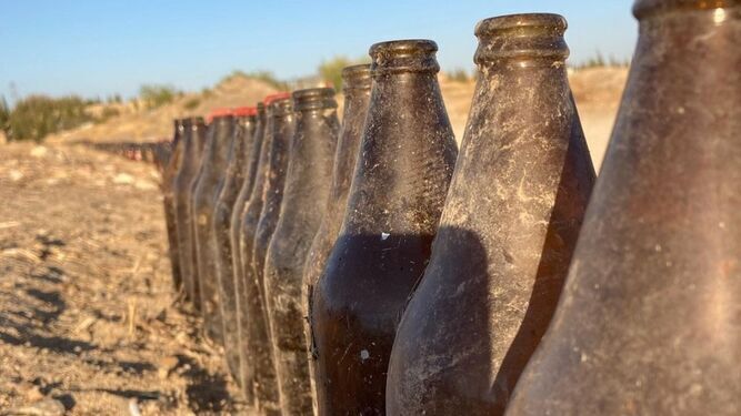 Botellas recogidas por el grupo ecologista en La Fontanilla, Gerena.