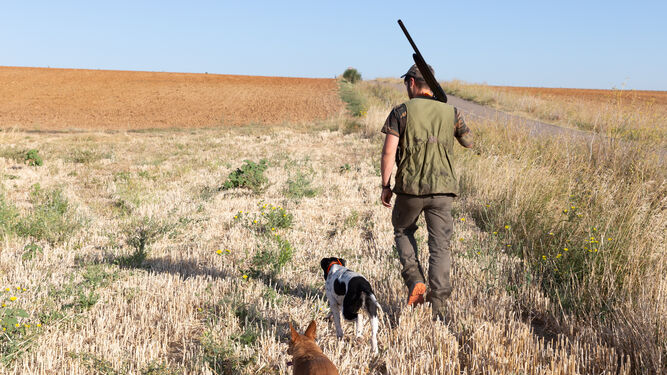 Vox denuncia el proyecto de Ley de Derechos de los Animales por criminalizar la caza, un sector "fundamental" en Andalucía