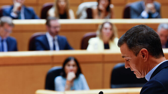 Pedro Sánchez, durante su intervención en el Senado