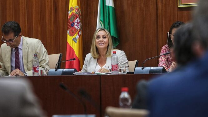 La consejera de Fomento Marifrán Carazo en la comisión de Fomento celebrada este jueves en el Parlamento.