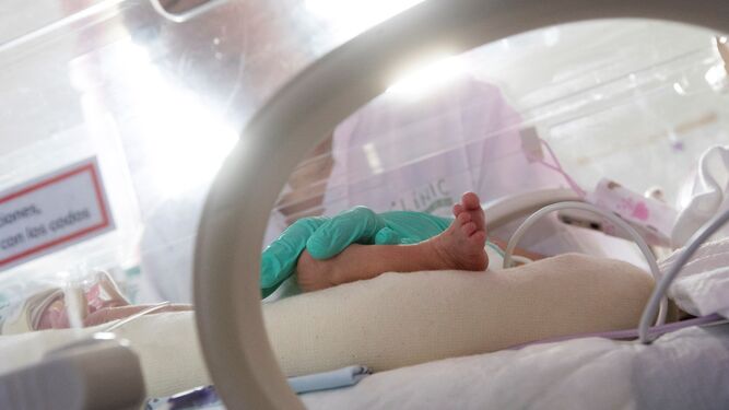 Un bebé en la UCI de Neonatología.