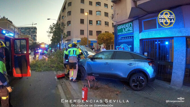 Choca contra un árbol en la carretera de Carmona y abandona el vehículo