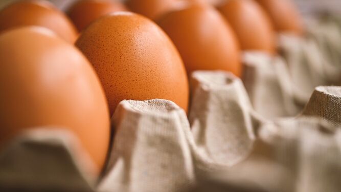 Los expertos aconsejan, entre otros, a los huevos, que nos aportarán proteínas de calidad.
