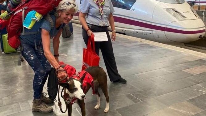 Una perrita de tres años, la primera mascota de hasta 40 kilos que viaja en un AVE desde la estación de Zaragoza