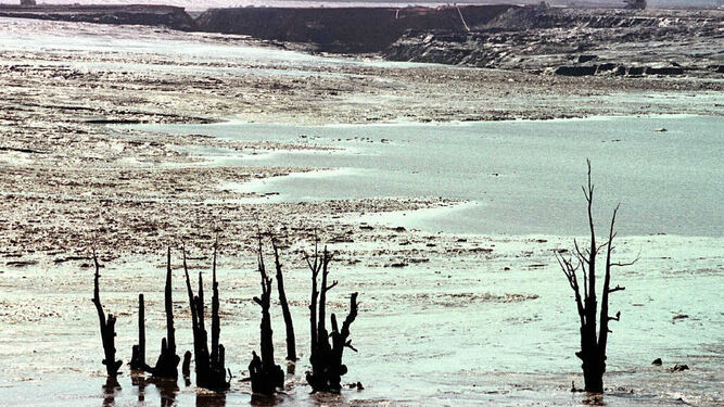 Una imagen de la contaminación generada por la rotura de la balsa minera el 24 de abril de 1998.
