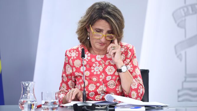 la ministra para la Transición Ecológica, Teresa Ribera, en la rueda de prensa posterior al Consejo de Ministros.