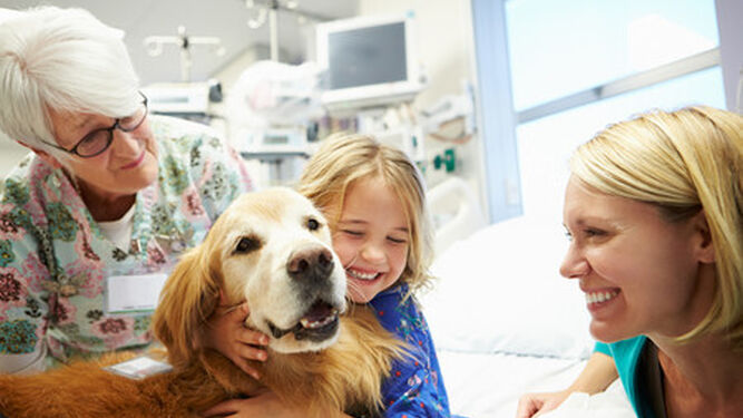 Los perros ayudan a combatir la ansiedad infantil en el hospital