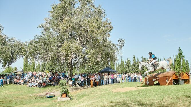 Mucha afluencia de público a la Gran Semana Anglo-Árabe celebrada en el Parque del Alamillo.