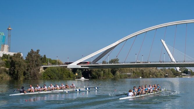 La V Sevilla International Rowing Masters Regatta concluye en el CEAR de la Cartuja.