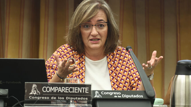 La presidenta de la Airef, Cristina Herrero.