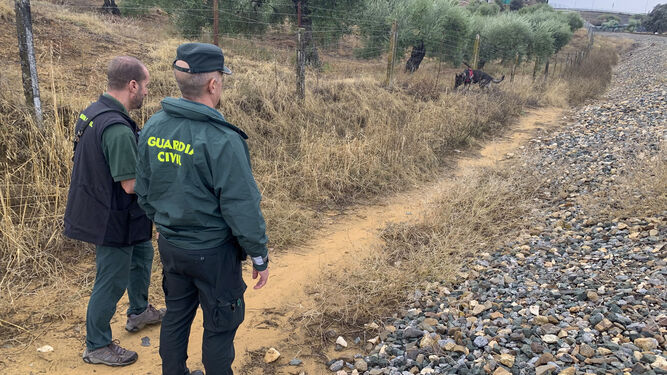 Dos agentes de la Guardia Civil ayudados por un perro especializado rastrean la zona cercana a la vía del tren en Villanueva del Río y Minas.