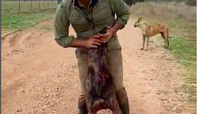 Un cazador muestra orgulloso el lamentable estado de salud de sus perros de caza