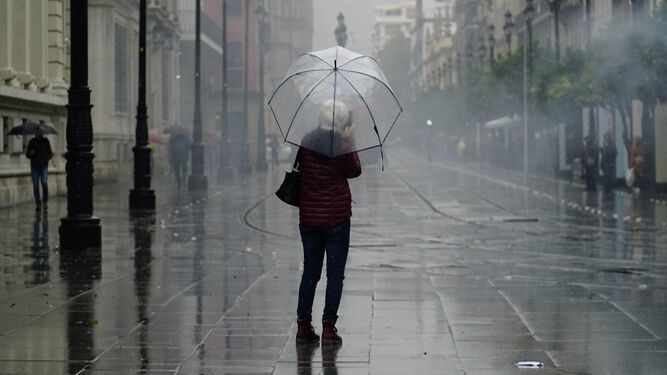Una mujer con paraguas en un día lluvioso en la Avenida de la Constitución.