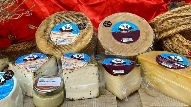 Quesos de Quesí, la quesería artesanal de Osuna (Sevilla), reconocida entre los mejores quesos del mundo.