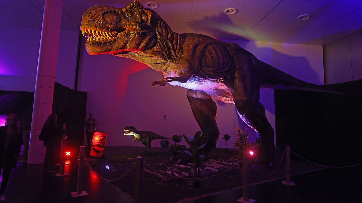 Video: Así es la exposición de dinosaurios a escala real 'Dinosaurs Live',  en el Pabellón de la Navegación