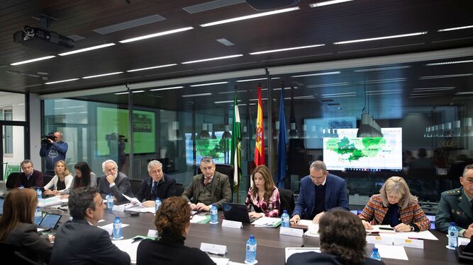 Pleno de la Comisión de Protección Civil de Andalucía celebrado en Sevilla.