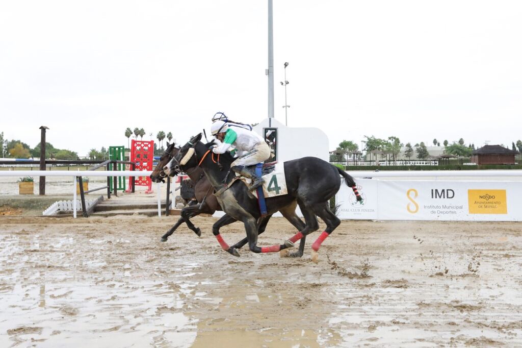 Las fotos de las carreras de caballos en Pineda