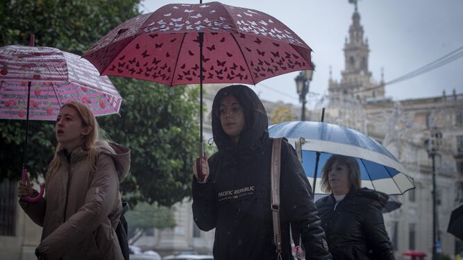 Viandantes con paraguas en Sevilla