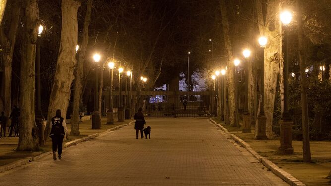 El Parque de María Luisa de noche.