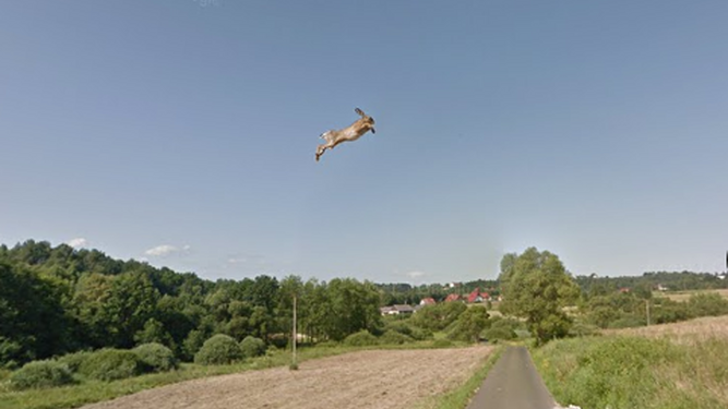 Google capta la paranoia del año en Street View: un conejo 'volando' sobre una carretera