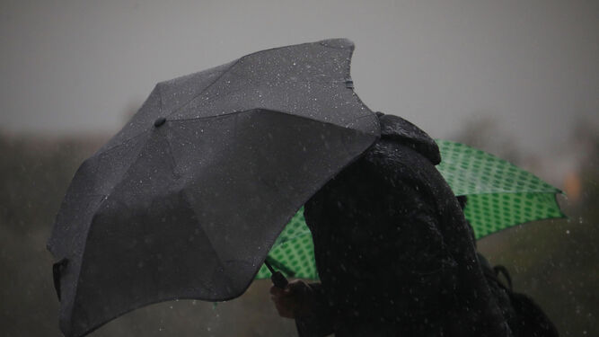 Varias personas se protegen con un paraguas de la lluvia, en Córdoba