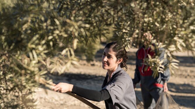 Mujeres trabajando en el olivar.