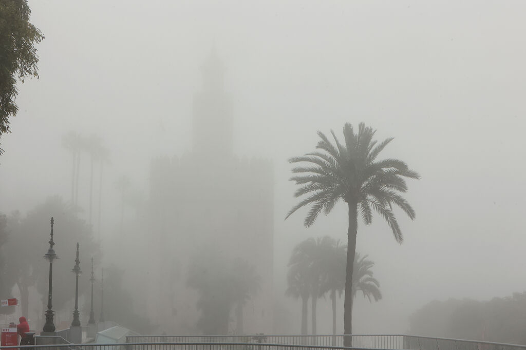 Las mejores im&aacute;genes de la niebla que cubr&iacute;a  Sevilla de nuevo