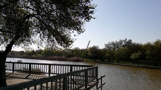 El Parque del Alamillo renueva un año más el certificado que acredita su excelencia ecológica