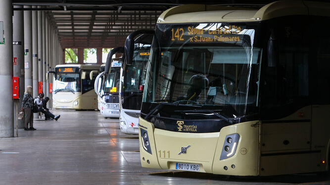 Varios autobuses en la estación de Plaza de Armas.