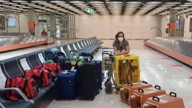 La imagen viral de una mujer que viaja con sus 9 mascotas para empezar una nueva vida