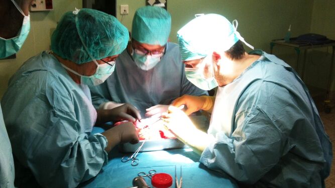 Personal sanitario en quirófano durante una intervención quirúrgica.