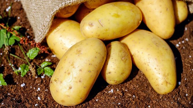 Patatas nuevas y viejas: estas son sus diferencias y cuáles debes utilizar en cada receta