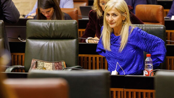 La consejera de Desarrollo Educativo, Patricia del Pozo, en el Parlamento andaluz.