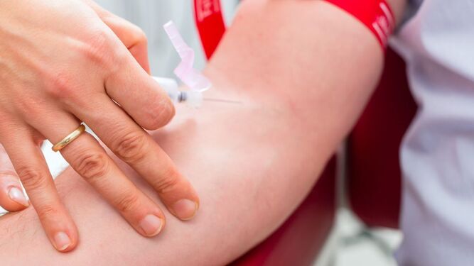 La Universidad de Sevilla hace un llamamiento a la donación de sangre los días 6 y 8 de marzo