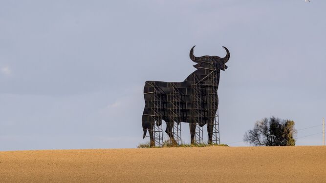 Uno de los toros que sobreviven en las carreteras españolas.