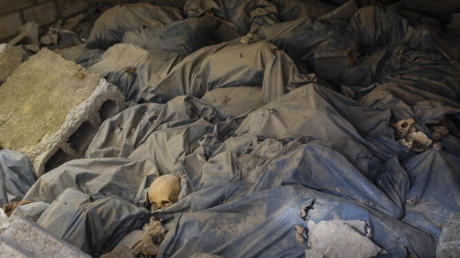 Imagen de los restos humanos de una antigua fosa común del cementerio de Sevilla tomada en 2017.