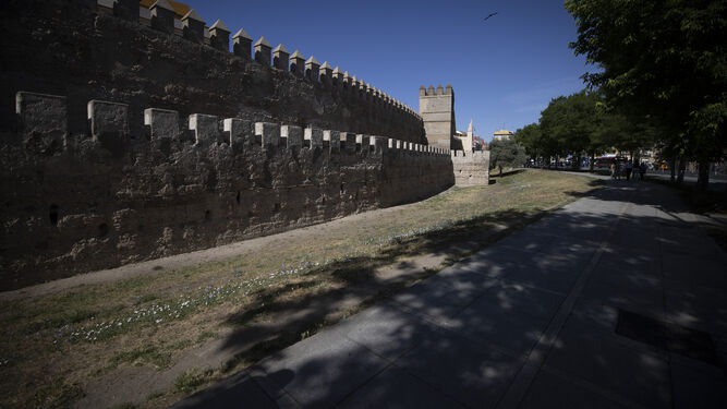 La muralla de la Macarena.