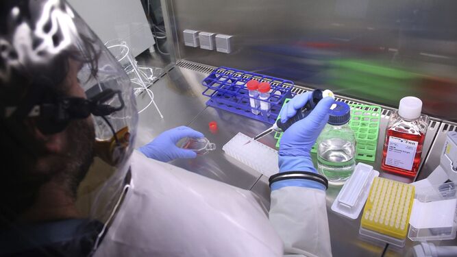 Un virólogo trabaja en el nuevo laboratorio de alta seguridad en el Instituto Bernhard Nocht de Medicina Tropical (BNI)