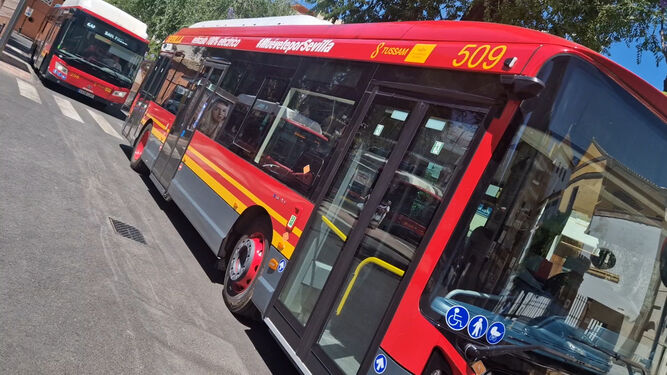 Los autobuses de Tussam cien por cien eléctricos, ya en funcionamiento.