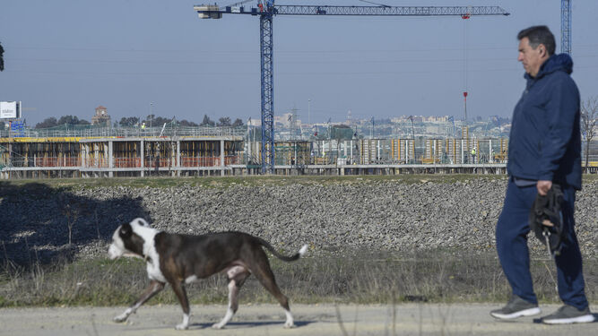 Un vecino pasea a su perro cerca de las obras de Palmas Altas.