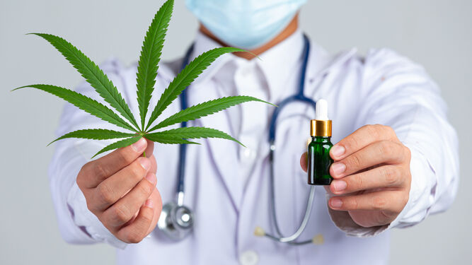 Regulación del cannabis medicinal en España
