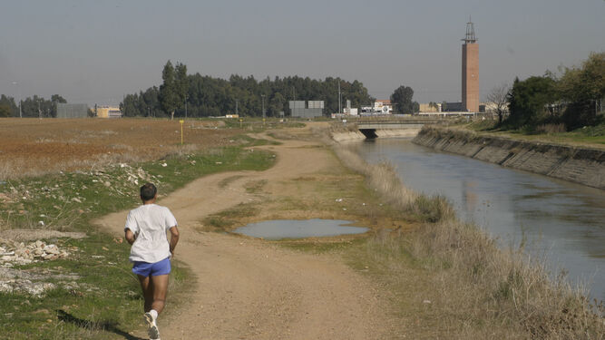 Un hombre corre junto al Canal de los Presos a su paso por el término de Dos Hermanas, con la Olavide al fondo.