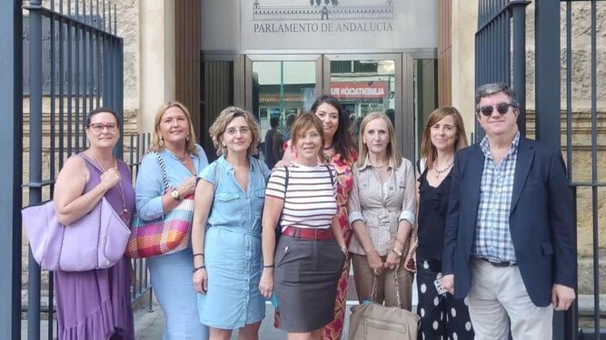 Los representantes de los abogados mutualistas, en la puerta del Parlamento de Andalucía.